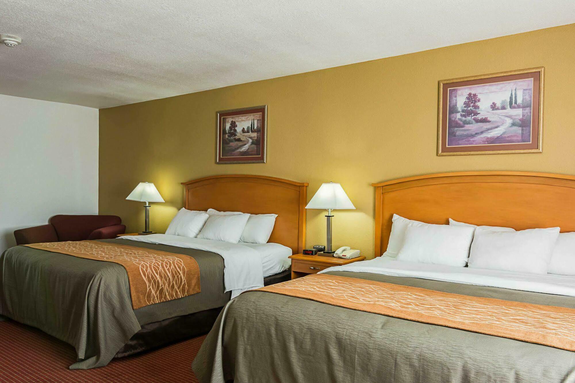 Comfort Inn & Suites Chesapeake - Portsmouth Exterior foto
